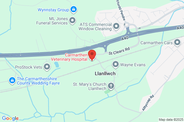 Carmarthen Veterinary Centre