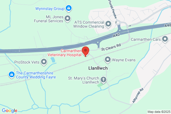 MiNightVet Carmarthen
