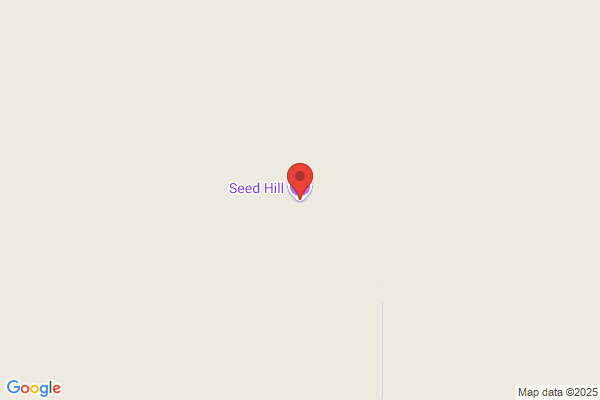 Seed Hill