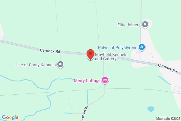Mayfield Kennels