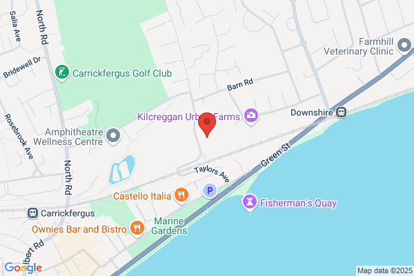 Carrickfergus Chemists Ltd
