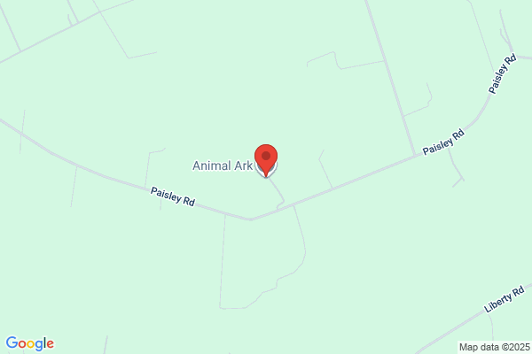 Animal Ark