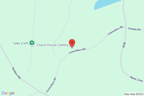 Calhame Cattery