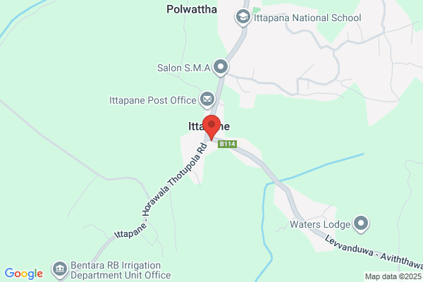 Dr P Liyanage
