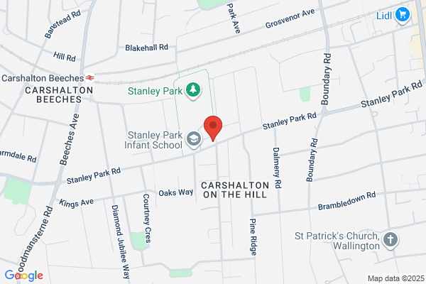 Jack P Dziedziela