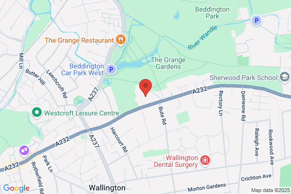 Wallington County Grammar