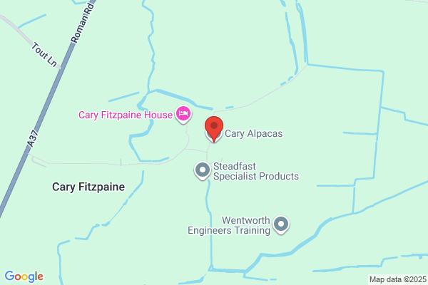 Cary Alpacas