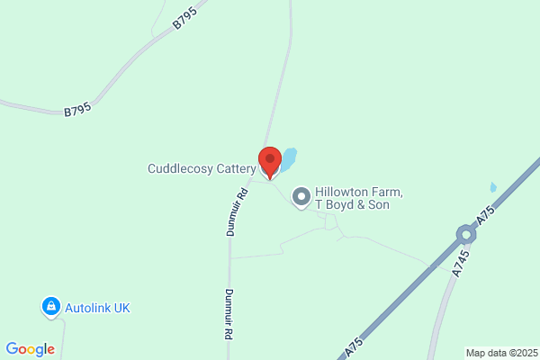 Kylelea Cattery