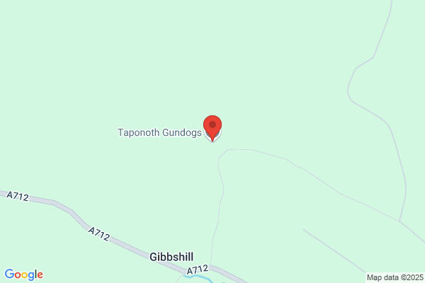 Taponoth Gundogs