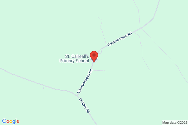 St Cairealls Primary School