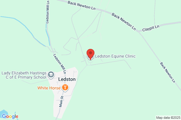 Ledston Equine Clinic