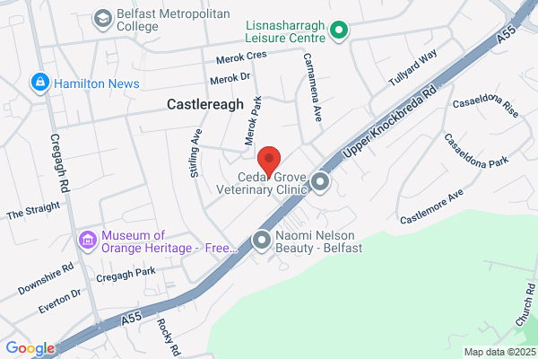 Lisnasharragh Primary School