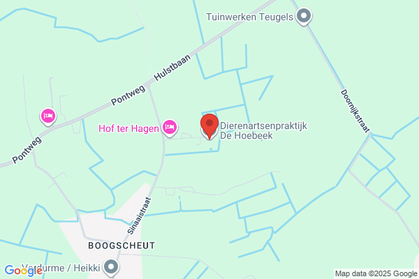 Hoebeek