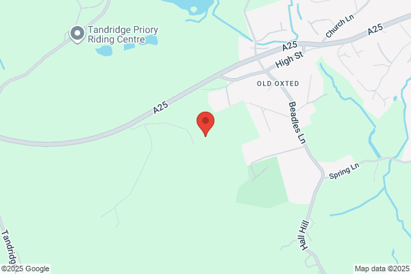Tandridge Golf Club
