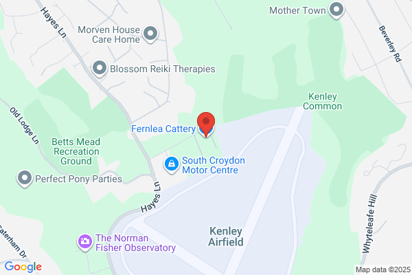 Fernlea Cattery