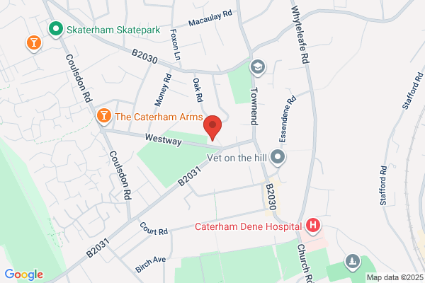 Caterham Hill Library