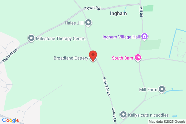 Broadland Cattery