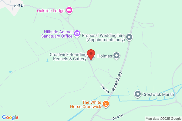 Cottonbrooks Cattery