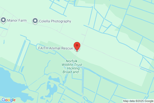 F A I T H Animal Rescue