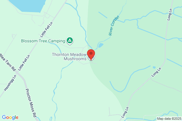 Thornton Meadow Mushrooms Ltd