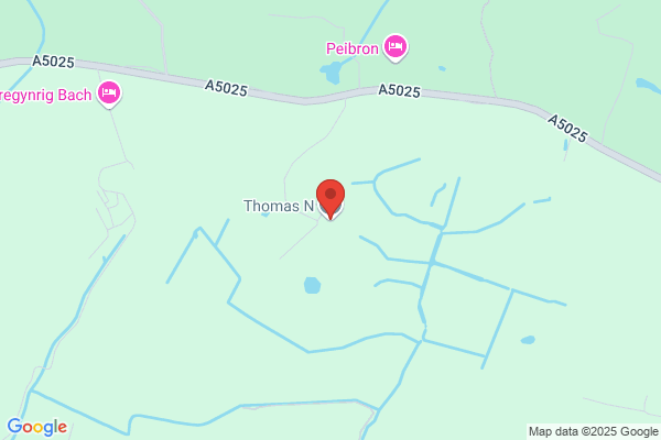 N Thomas