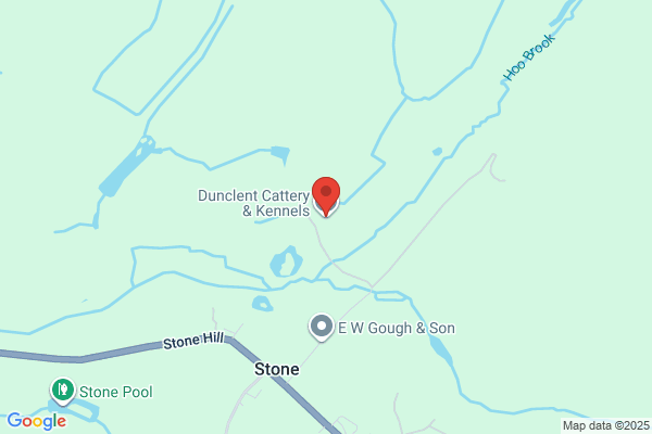 Dunclent
