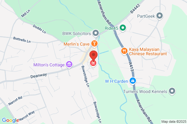 Buckinghamshire Dog Walkers