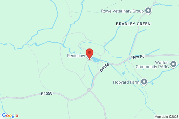 Renishaw PLC