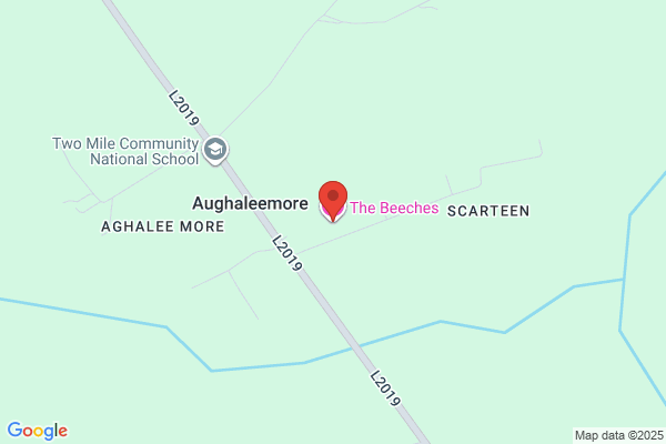 The Beeches