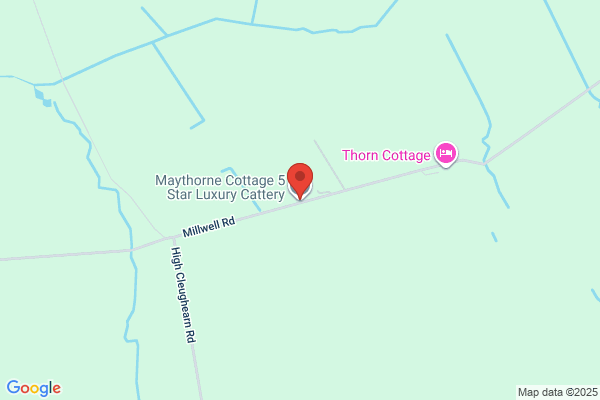 Cottage Cattery