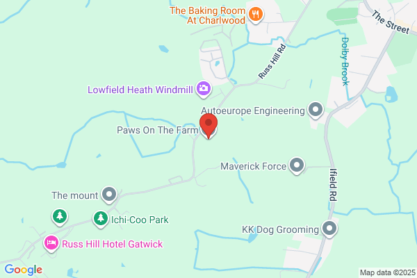 Ifield Park Cattery and Kennels