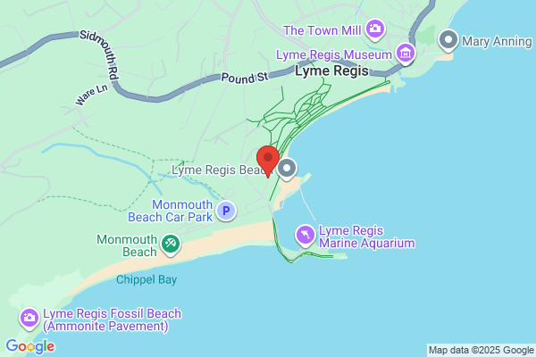 Lyme Bay Sandwich Co.