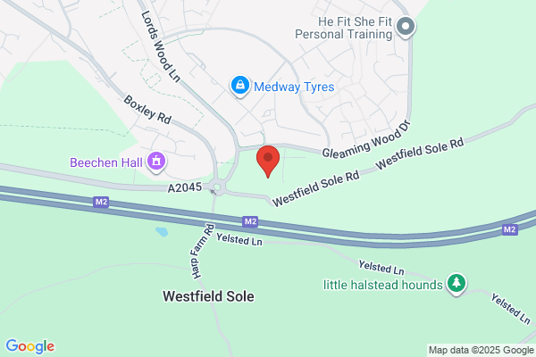 Gas Train