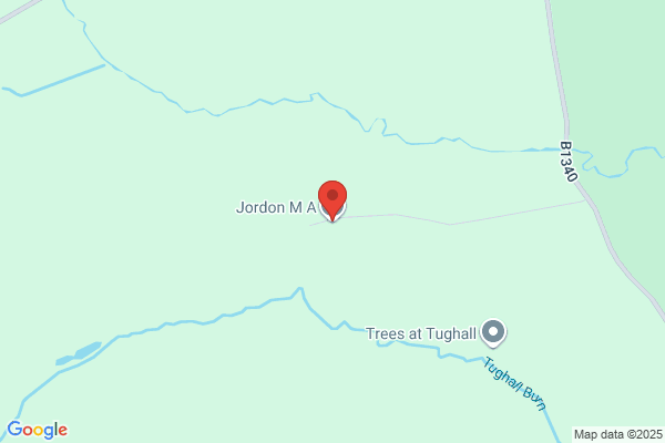M A Jordon
