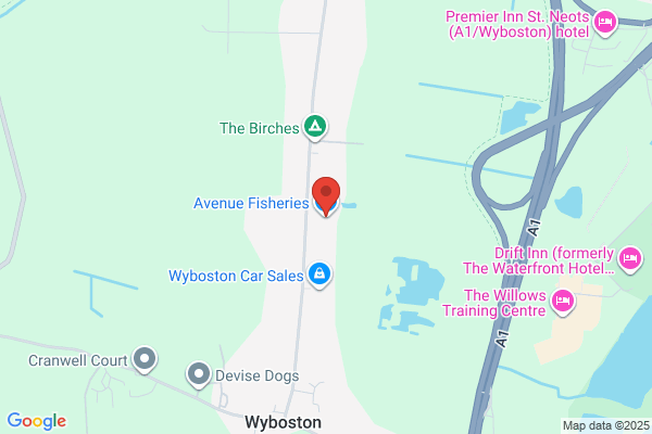 Avenue Fisheries