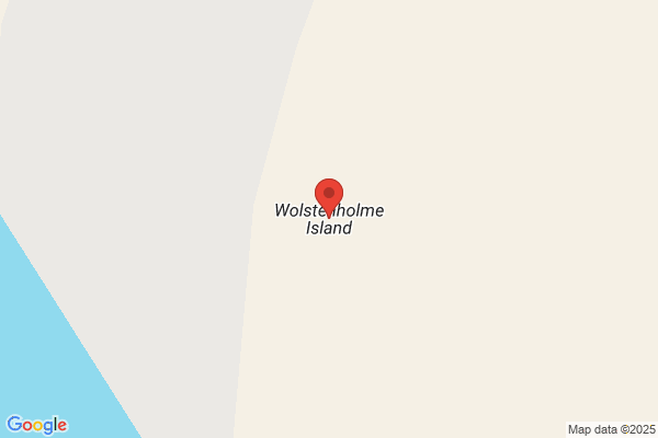 Wolstenholmes