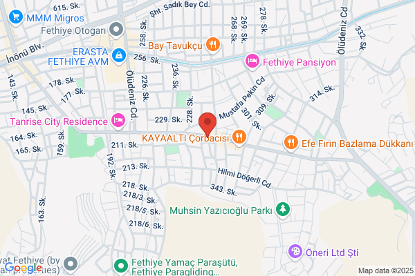 Taya Travel
