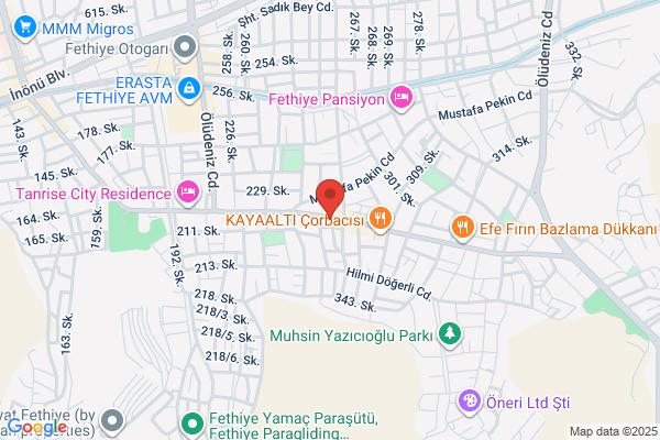 Taya Travel