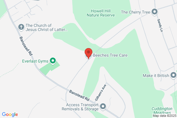 Beeches Tree Care Ltd