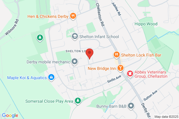 Andy Portlock Tree Specialists Ltd