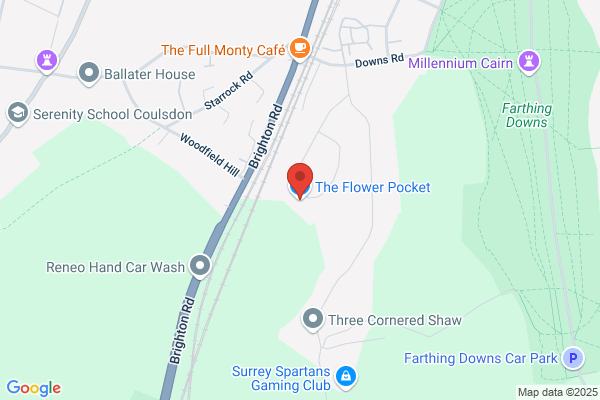 Clearwater Handyman & Pond Maintenance