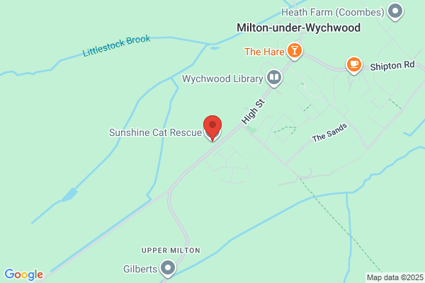 Cats Protection (West Oxfordshire)