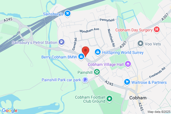Travel Professionals (Weybridge) Ltd