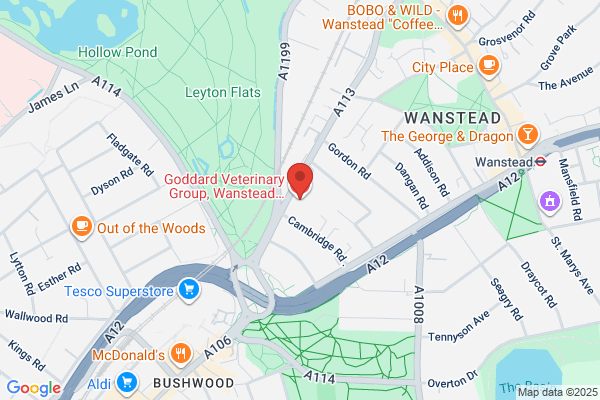 Goddard Veterinary Group, Chessington
