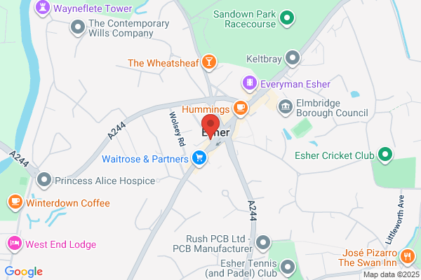 The Albert Arms, Esher