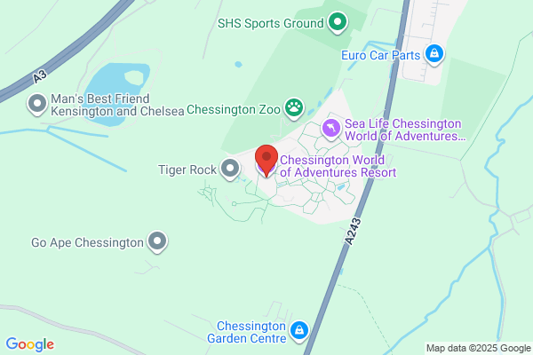 The Angel