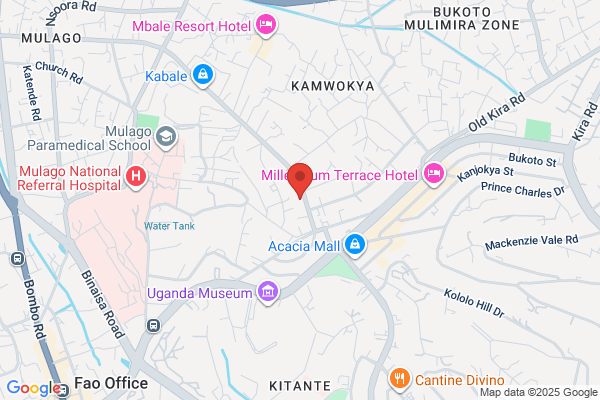 Uganda Development Services