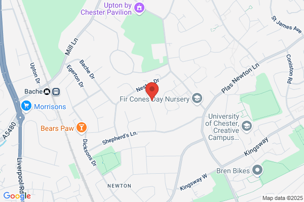 D S Jones Fire & Chimney Specialists