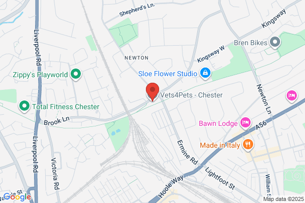 Vets4Pets - Chester