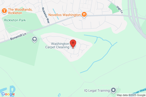 Washington Carpet Cleaning